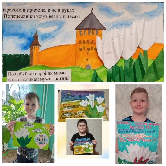 Проект "Юннатская страна".